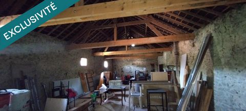 photo no. 15