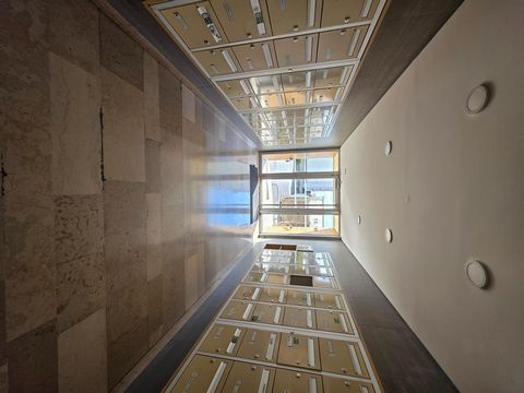photo no. 9