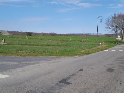 photo no. 4