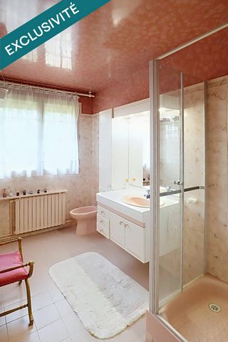 photo no. 12