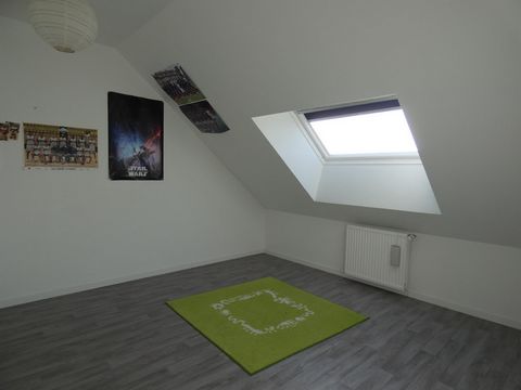 photo no. 8
