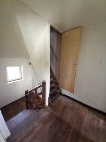 photo no. 11