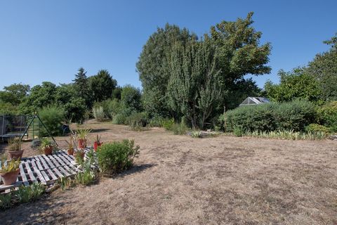 photo no. 5