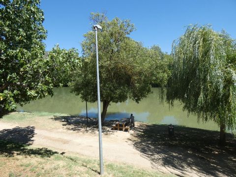 photo no. 11