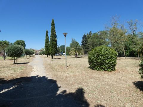 photo no. 13