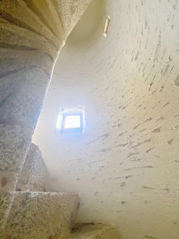 photo no. 12