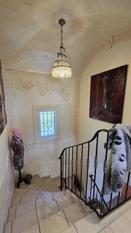 photo no. 20