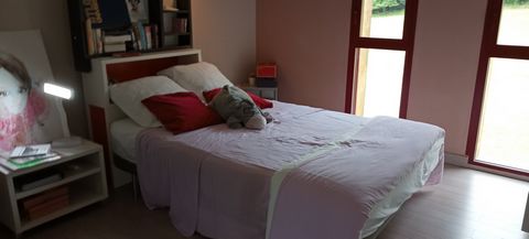 photo no. 19