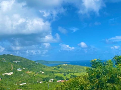ZELDZAME KANS: DRIE KAVELS MET ZEEZICHT - BIJNA 1,5 HECTARE! Gelegen net voorbij Villa Madeleine in de gewilde wijk Teagues Bay, beslaat dit trio van kavels bijna 1,5 hectare en biedt een weids, onbelemmerd uitzicht op Buck Island en de Caribische Ze...