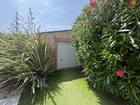 photo no. 16