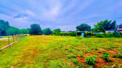 photo no. 1