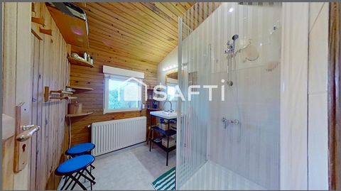 photo no. 8