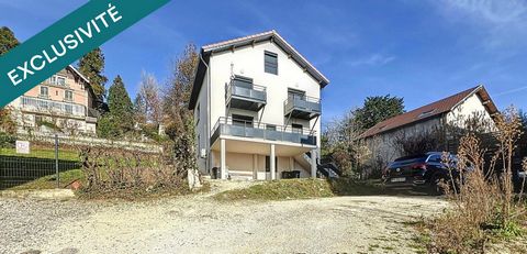Grand appartement T2 en duplex - 85 m² superficie au sol
