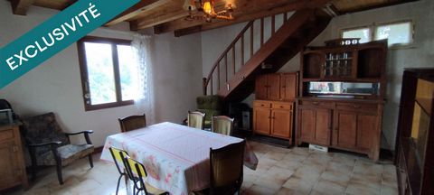 photo no. 8