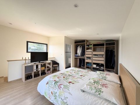 photo no. 18