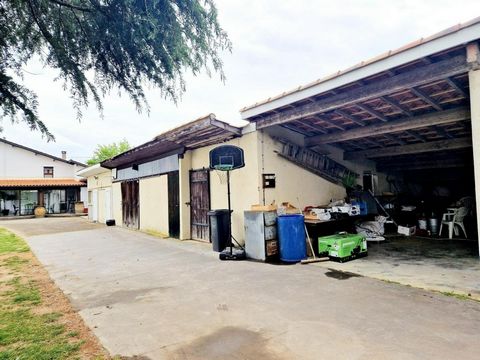 photo no. 3