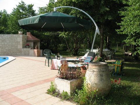 photo no. 19