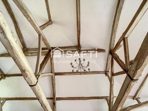 photo no. 14
