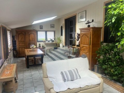 photo no. 12