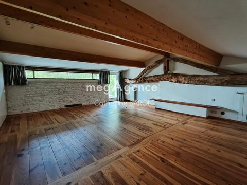photo no. 10