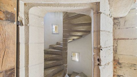 photo no. 8