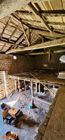 photo no. 10