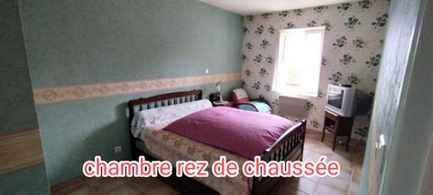 photo no. 11