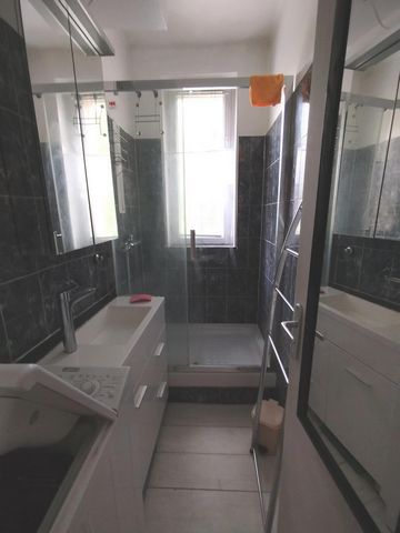 photo no. 11