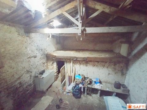 photo no. 12
