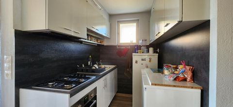 photo no. 2
