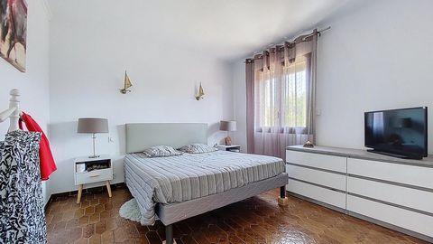 photo no. 6