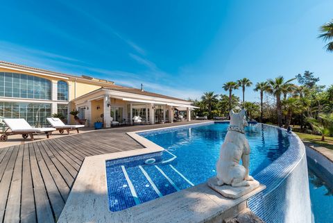 This exceptional finca is located between Inca and Binissalem and has very easy and quick access to Palma and the airport. The land measures about 87,000 m2 with a total of 50,000 m2 of lawned gardens and two lakes. 37,000 m2 with fruit trees, olive ...