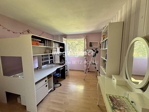 photo no. 8