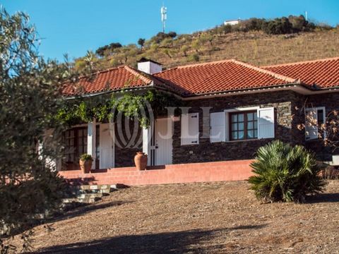 Quinta Meirinhos-Mogadouro mit einer Fläche von 35.700 qm, lizenziert für lokale Unterkunft, im Bezirk Bragança. Land mit einem riesigen Olivenhain mit Tropfbewässerungssystem, Mandelhainen, Gemüsegarten und mehreren Obstbäumen, mit einer beträchtlic...