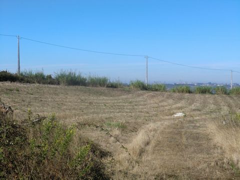 Building plot with 5.100 m2. Project approved for a single family house. Good views, quiet place. 10 kms south of Caldas da Rainha.