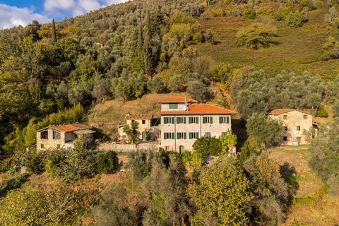 Real estate complex consisting of 4 buildings to be renovated with approximately 10,000 m2 of land on the hills of Camaiore in the Nocchi area, accessible via a private road. ***The renderings published are examples of how the property could look at ...