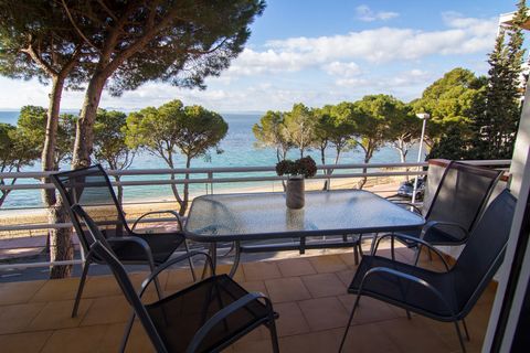 Cet appartement avec vue sur la mer est situé à Rosas (Roses en catalan), une ville espagnole située dans la province de Gérone, en Catalogne. L'appartement fait partie d'un quartier charmant au bord de la mer et se trouve à seulement 2 km de la vill...