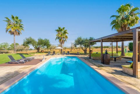 Welcome to this wonderful house on the outskirts of Petra with all the comforts, including a refreshing private chlorine pool. It has a capacity of 12 people. This property has been designed to enjoy the good Mediterranean weather. The beautiful chlo...