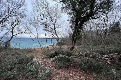 The island of Krk, town Krk, wider area, attractive agricultural land surface area 11.000 m2 for sale, in the first row to the sea, on the western part of the island, 2 km from the nearest village. An oak and ash forest grows on the land and it is lo...