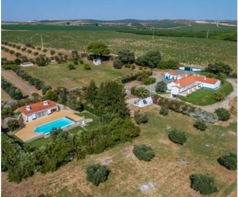 Excellent property, consisting of villa, swimming pool, gardens, vast land and airstrip with hangar, located in a privileged area of Alentejo - halfway between Lisbon and the Algarve - this unique property for its characteristics, quality of construc...