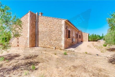 Rustic finca on one floor with a plot of 9.608m2 approx. with unobstructed views, Stone lined house built on one floor of 240m2 approx., large living room with fireplace, large kitchen equipped with large pantry, 4 double bedrooms, wardrobes, 2 bathr...