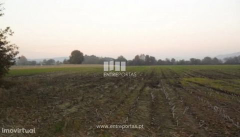 Land for cultivation with 2869 m2. Situated in a quiet place with good access. Ref.: VCM09659 ENTREPORTAS Founded in 2004, the ENTREPORTAS group with more than 15 years, is a leader in real estate mediation in the markets in which it operates, offeri...
