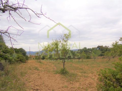 Quiet Space 10 Minutes from Faro, with Easy Access and Proximity to Amenities. This rustic plot, located in Caliços, Conceição de Faro, offers a unique opportunity for those seeking tranquillity and stunning views. With a total area of 5,080m2, this ...