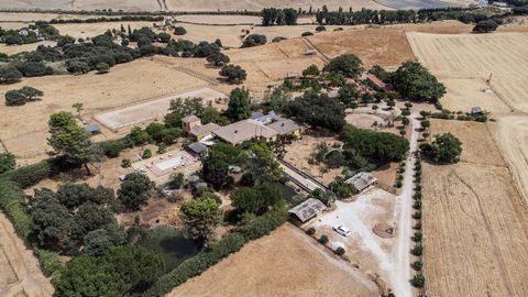 Large equestrian estate with cortijo in the Grazalema and Ronda area, Andalusia. Over 54 hectares of partly-flat grazing land for horses and partly oak forest. The land is completely fenced. The property is situated on a plateau with 360 degrees pano...