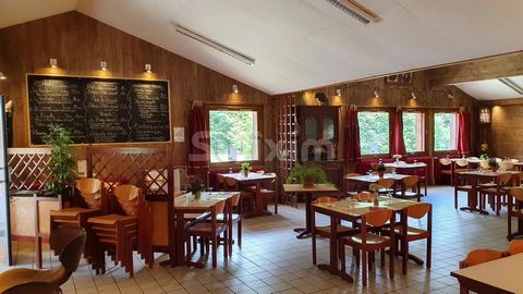 REF67331HA: In the heart of a splendid Vercors landscape in summer and winter, 30 minutes from the Valence TGV station, BUSINESS in perfect condition renovated in 2019 is fully equipped and furnished. - Bar and IV license. Restaurant, ERP 5th categor...