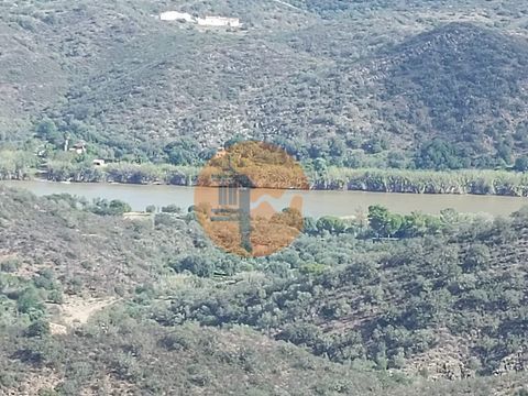 Land with 59,280 m2, close to Torneiro in Alcoutim - Algarve. Land with good access. Possibility of building a house for the farmer and agricultural support and/or warehouses, up to 500 m2. Rural tourism up to 2,000 m2. Agro Tourism. Eco Tourism. Hou...