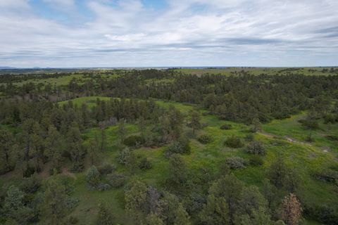 The Ponderosa Breaks is a rare opportunity to own 208 acres on Musselshell Trail, Fergus County, Montana in unit 410, bordering BLM land with timbered draws and grassy sage hillsides.Positioned for access to vast public hunting area accessible on gra...