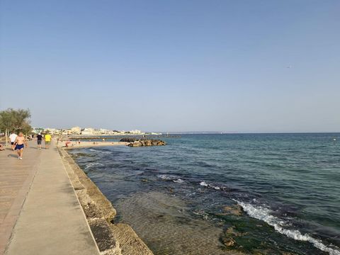 Upptäck denna mysiga lägenhet i Palma de Mallorca, en juvel som ligger bara 50 meter från stranden. Denna ljusa lägenhet har en yta på 93 m² och erbjuder ett bekvämt och mysigt utrymme att bo på. Den består av tre sovrum. Lägenheten är i gott skick o...