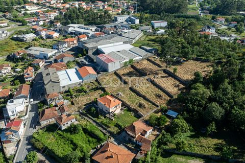 Identificação do imóvel: ZMPT567852 Esta oportunidade de reestruturação consiste em uma casa térrea e um grande terreno. A casa térrea é composta por três unidades independentes, ou seja, basicamente são três casas de 54m2 cada. A construção data de ...