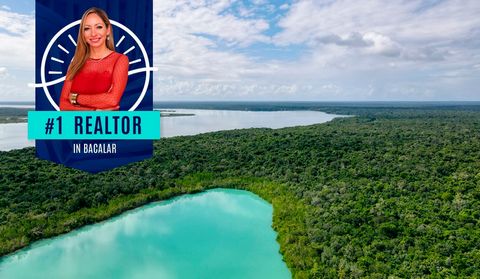 Bacalar est une petite ville située dans le sud-est du Mexique, à environ 40 kilomètres de la ville de Chetumal. L’attraction principale de Bacalar est son lagon aux sept couleurs, qui présente des eaux cristallines entourées d’une végétation luxuria...